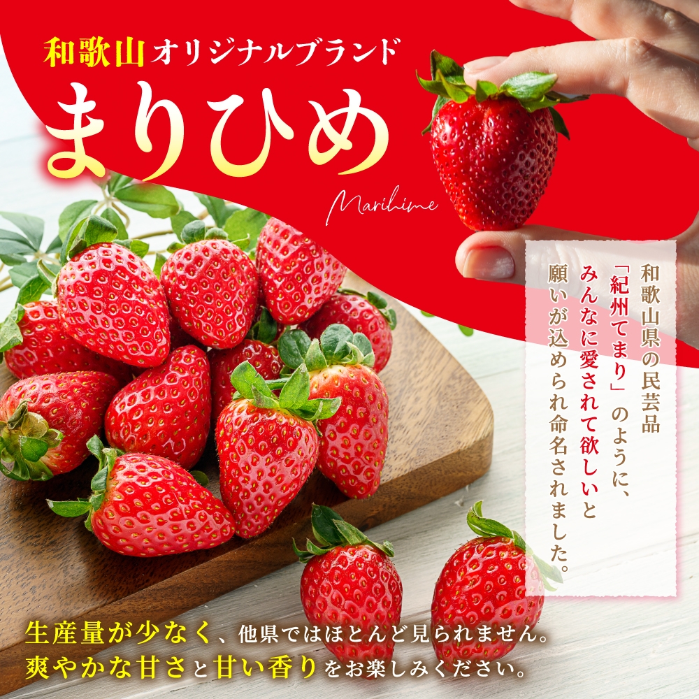【先行予約】まりひめ いちご 12粒～15粒入り×2パック（500g）2026年1月中旬～2026年3月中旬頃に順次発送予定（お届け日指定不可）/ いちご 苺 まりひめ 和歌山 フルーツ 果物 くだも