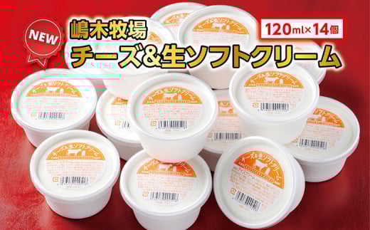 
北海道 牧場のチーズ＆生ソフトクリーム 14個 アイスクリーム アイス スイーツ 池田町 ジェラート ギフト ソフトクリーム 120ml×14個 国産
