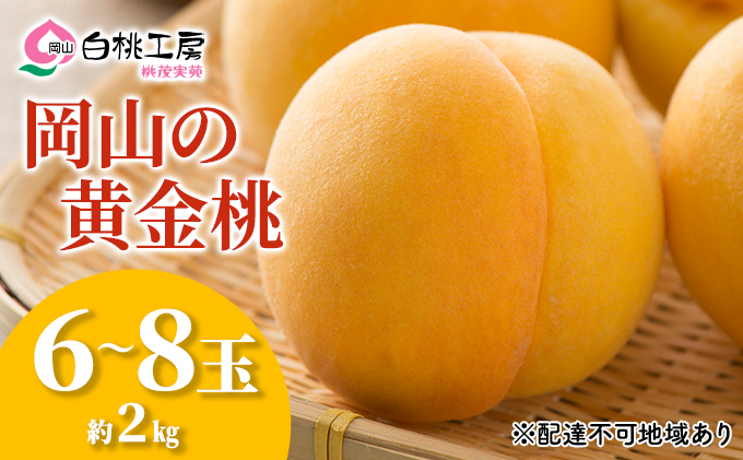 桃 2025年 先行予約 黄金桃 2kg 6～8玉 もも モモ 岡山 国産 フルーツ 果物 ギフト 桃茂実苑 