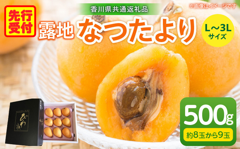 
            露地なつたよりびわ 500g【香川県共通返礼品】_mk025-002
          