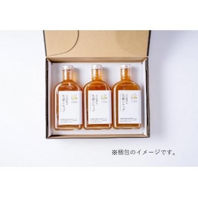 ふるさと納税 奥州市 生姜シロップ DRY 200ml×3本 農場生産 岩手県奥州市 江刺産 北の生姜家 [T0010] |  | 03