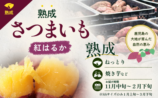 【先行予約：2027年1月上旬配送～】熟成 さつまいも 紅はるか 2.5kg (500g×5袋) SSサイズ FR-301 ｜ 秋の味覚 2026年秋収穫 貯蔵 長期熟成 糖化 さつまいも サツマイモ