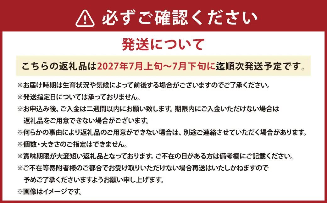 キングメルティーメロン 2玉 （1玉 約1.6kg） 果物 フルーツ メロン めろん 青肉 希少フルーツ 希少品 北海道 浦臼町 【2027年7月上旬～7月下旬発送予定】