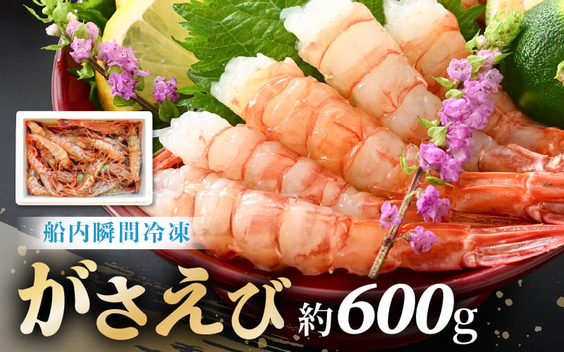 
                  【発泡箱入り】漁船直送☆船内瞬間冷凍 がさえび 約600g 【希少 海老 えび エビ ガサエビ ガラエビ がらえび ザコエビ ブルエビ ガマエビ ガスエビ がすえび 越前えび 殻付き 有頭 生食 刺身 冷凍 魚介類 魚貝類 産地直送 坂井市産 国産 三国】 [A-23106]
                