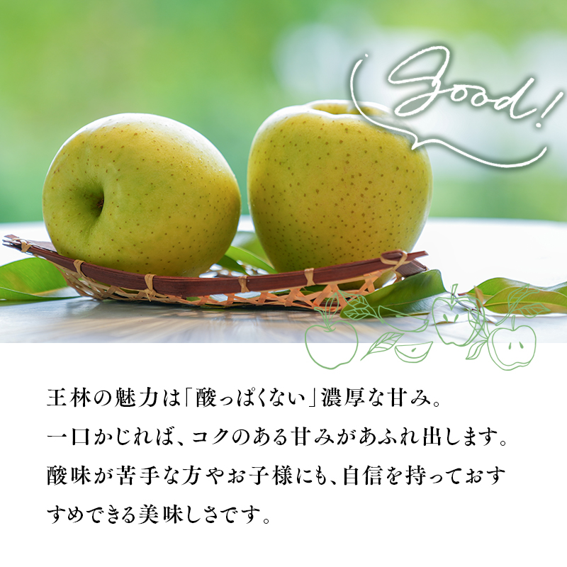 2026年11月～12月発送　【訳あり】家庭用王林 約3kg【原田農園】