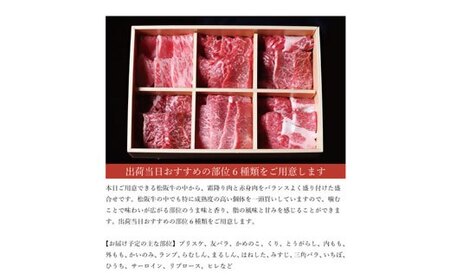 松阪牛 極上焼肉 おまかせ6種 600g ( 牛肉 和牛 国産牛 黒毛和牛 焼肉 霜降り 赤身 松阪牛 松阪肉 牛肉焼肉 松阪牛焼肉 赤身牛肉 松阪牛 赤身 赤身焼肉 赤身牛肉 霜降り肉 霜降り牛肉 