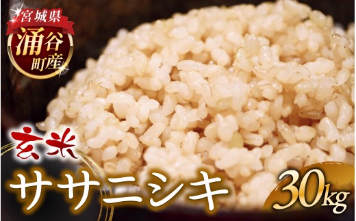 ≪新米予約≫  令和8年産 ササニシキ 30kg 玄米 【2026年11月より順次発送予定】【sato008】