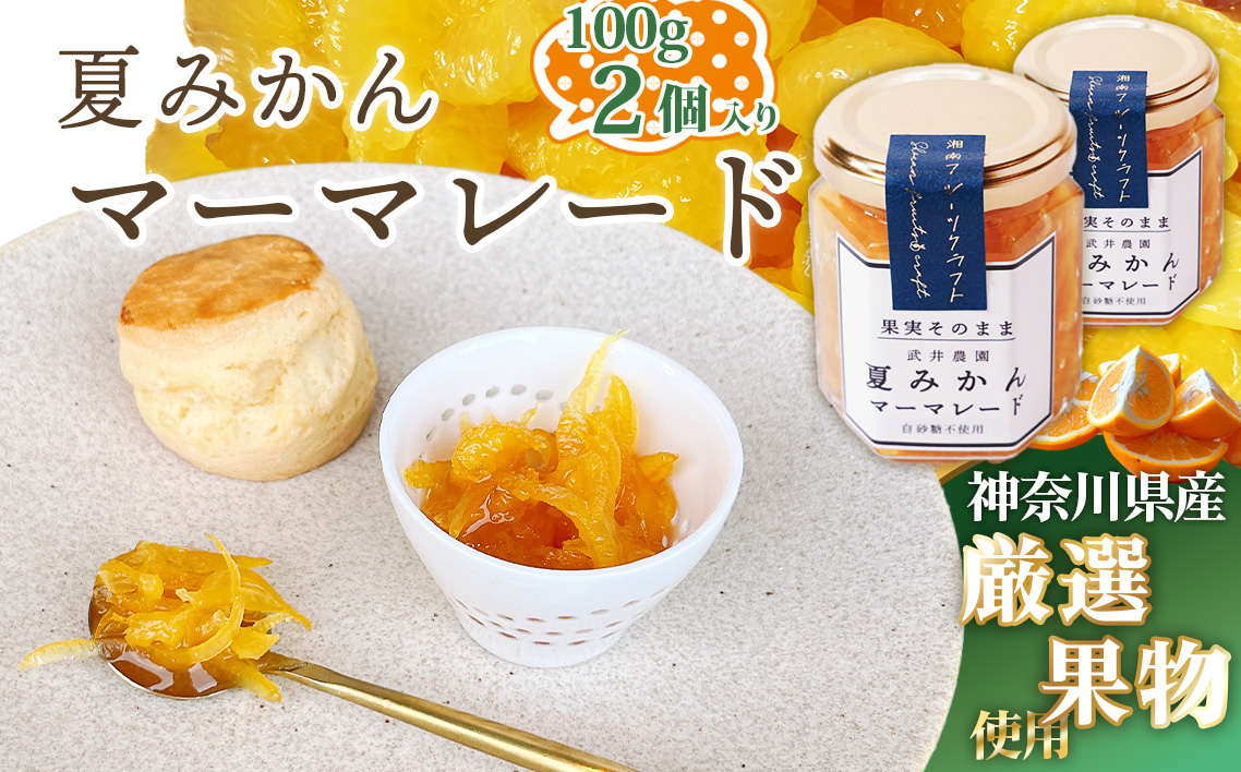 夏みかんマーマレード100g×2個 No.084