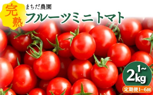 【2026年11月中旬～発送】 トマト フルーツミニトマト 2kg 四万十川 完熟 新鮮 みにとまと とまと プチトマト 野菜 やさい 果物 スイーツ ジュース トマトジュース パスタ ソース サラダ ドレッシング 甘い 旬 野菜 1キロ 採れたて フレッシュ 産地直送 甘い サラダ スープ パスタ もぎたて 箱買い おとりよせ 贈答 ギフト まちだ農園 中土佐町 プレゼント 高知