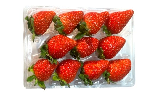 茨城県産いちご いちのか 大粒から中粒いちごパック 2パック入り箱｜ファーマ村 ファーマインド いちご いちのか かおりの スイーツ フルーツ 果物 [1890]