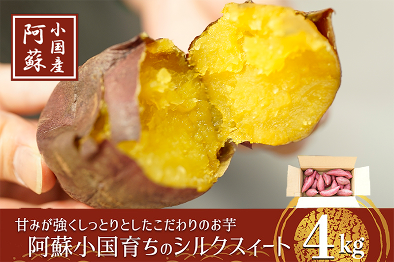 【下巣畑農産】熟成 シルクスィート 4kg 令和7年産 さつま芋 唐芋 長期貯蔵 産地直送 まとめ買い 九州産 熊本産 小国産 地場産 スイーツ 蜜芋 贈答 ご家庭用 焼き芋 スィートポテト 高糖度 GAP認証 6次産業認定 認定農家 常温配送