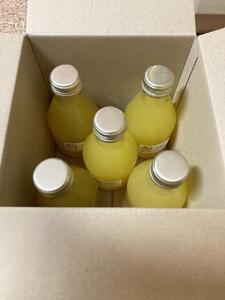 ［お中元］数量限定　果汁100％！ 搾りたての柑橘ジュース　180ml×5本　2026年7月1日～8月5日ごろ順次発送