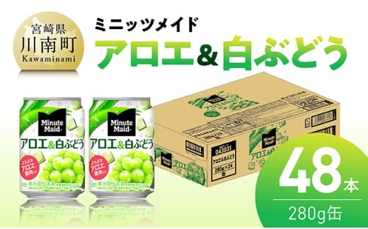 ミニッツメイド「アロエ&白ぶどう」280g缶 48本（24本×2箱） 【 飲料 アロエ 白ぶどう 果汁 長期保存 】