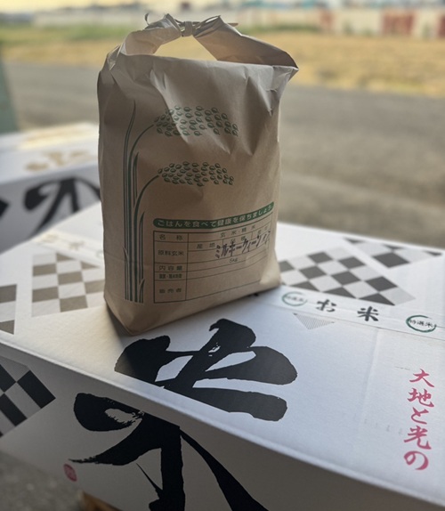 お米 令和7年産 新米 5kg コシヒカリ  特別栽培米  先行予約  【2025年10月以降発送】 精米 米 こめ コメ 白米 ごはん ライス 愛媛 伊予市｜C151