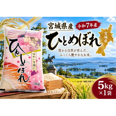 【ふるさと納税】令和7年宮城県産ひとめぼれ100%【精米】5kg×1袋【2002551】