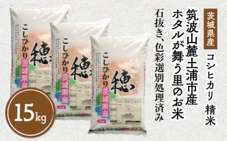 【先行予約】令和8年産 筑波山麓ホタルの里 厳選米 コシヒカリ15kg 透き通った大粒米 ※2026年10月～発送