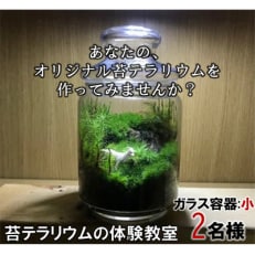 2名様用　寝屋川市で開催「苔テラリウム」の体験教室　【ノーマルコース:ガラス容器小】