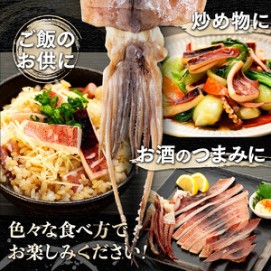 知床羅臼産するめいか一夜干し（1枚 250g 前後）8枚セット｜いか　北海道
