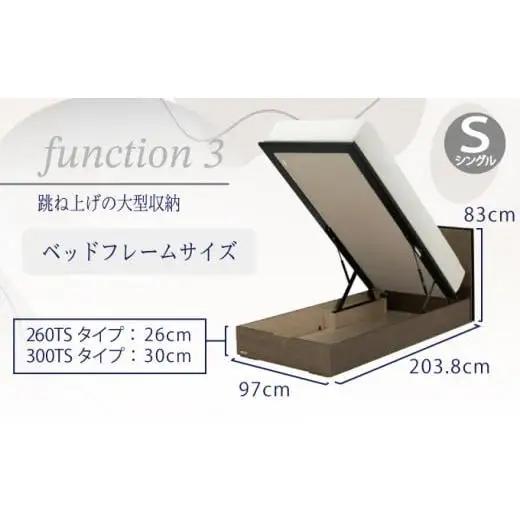 フランスベッド BG-001（跳ね上げ収納タイプ 260mm）上峰町オリジナルマットレス付き　シングル T-120