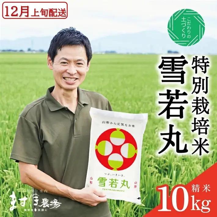 SC0744　12月上旬配送／令和8年産【精米】つや姫マイスターが作った 特別栽培米『雪若丸』10kg(5kg×2袋)［減農薬・減化学肥料］