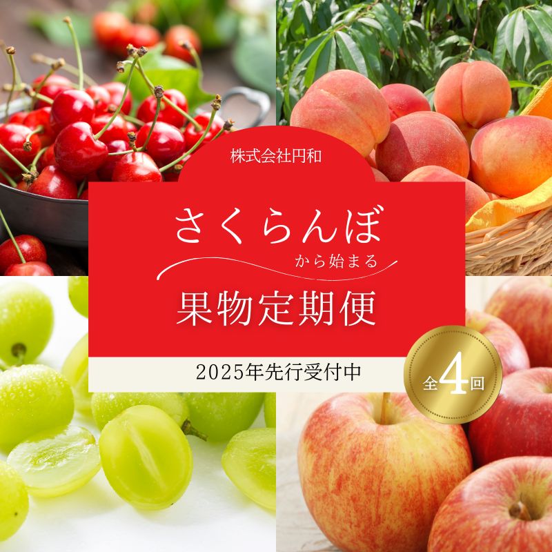 No.2274さくらんぼから始まる果物4品 定期便【2025年発送】
