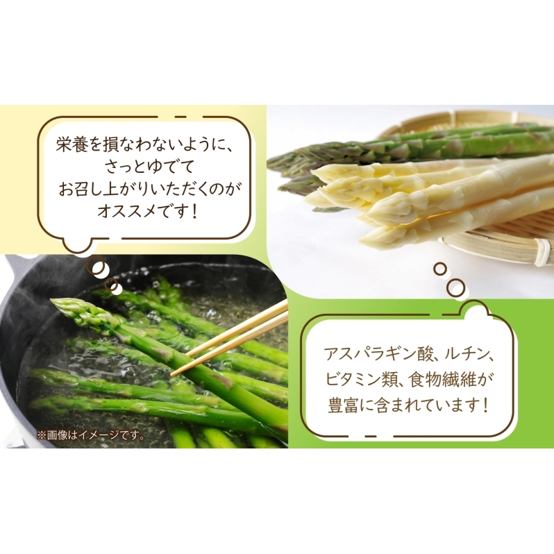 秀品 アスパラセット 計2kg ホワイトアスパラ 2L 3L グリーンアスパラ L 各1kg アスパラ アスパラガス 野菜 新鮮 旬の野菜 朝採れ フレッシュ 野菜 お取り寄せ グルメ 甘い 春 春野