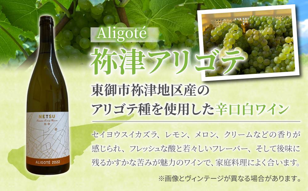 ※画像とはヴィンテージが異なる場合がございます