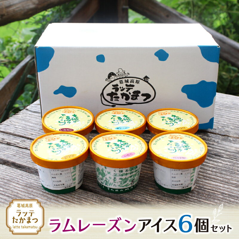 【ふるさと納税】ラッテたかまつラムレーズンアイス6個セット ／葛城 高原 牧場 ラッテのアイス【latt023】