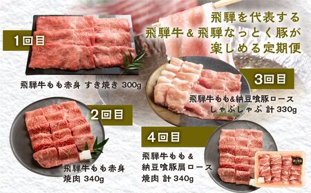 【定期便 4回】 飛騨牛 ＆ なっとく豚 定期便 4回 牛肉 / 豚肉 食べ比べ (焼肉 / すき焼き / しゃぶしゃぶ / 豚しゃぶ) 下呂温泉 お楽しみ おすすめ ブランド牛 赤身 霜降りミックス