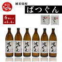 【ふるさと納税】お中元 ギフト 純米焼酎 ばつぐん 900ml×6本 25度 合計 5.4L セット 球磨焼酎 お酒 酒 米 米焼酎 焼酎 常温 熊本県 多良木町 送料無料 抜群