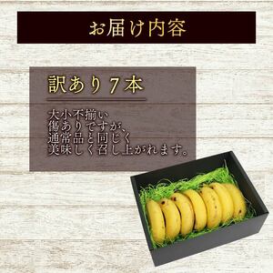 【訳あり】高知県産 侍バナナ｜無農薬・国産・農家直送 手のひらサイズ 7本  バナナフルーツ バナナ サムライ スムージー ふるさと納税
