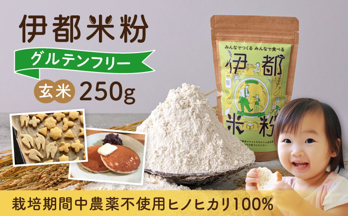 
伊都 米粉 玄米 250g 糸島市 / フルタク グルテンフリー 米 [AHN004]
