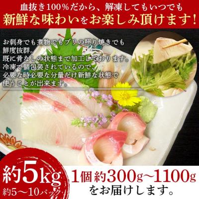 ふるさと納税 西予市 <異次元の鮮度!「超冷薫」冷凍ぶり ロイン(5kg)>　海鮮　ブリ　鰤　魚介　西予 |  | 03