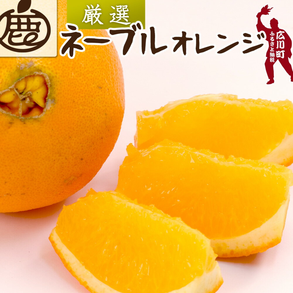 【ふるさと納税】 ネーブル オレンジ 厳選 光センサー / 高級 甘い 和歌山 柑橘 1kg 5kg 10kg ※2月中旬〜3月中旬頃に順次発送予定 ※北海道・沖縄・離島への配送不可 //dekopon