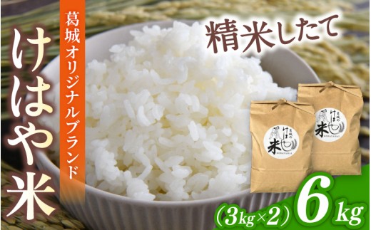 
                  昨年完売！【先行受付】令和8年度産　新米 けはや米 精米 6kg ／ 米 お米 白米 新米 精米 ひのひかり ヒノヒカリ 葛城市商工会青年部 奈良県 葛城市【nkss002A】
                