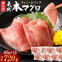 【ふるさと納税】 天然本まぐろ 【お刺身ちょこっとパック】 中トロ 切落し 720g 60g×12パック お手軽 食べきりサイズ 切り落とし お刺身 魚介類 海鮮 小分け 魚 天然まぐろ 魚貝 マグロ 高知県 簡単解凍 簡単調理 惣菜 コロナ支援 冷凍