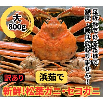 ふるさと納税 岩美町 鳥取網代港【訳あり】浜茹で!松葉ガニ・セコガニセット(大)【さかなや新鮮組】