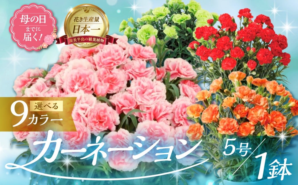 
            《母の日までにお届け》カーネーション 鉢植え 5号鉢 レッド ピンク オレンジ グリーン 緑 花 フラワー ギフト 母の日 贈り物 プレゼント 母 ママ お母さん ありがとう 感謝 贈答 鉢
          