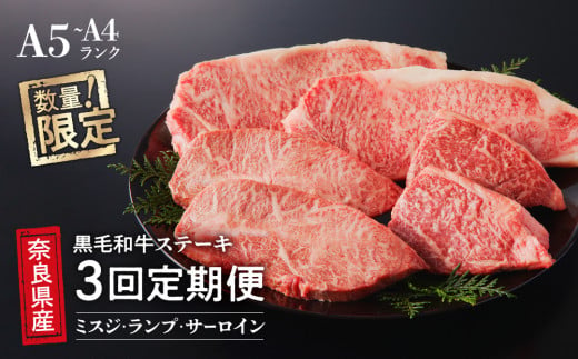 
【3回定期便】 国産牛 ステーキ 2人前​ セット 和牛 牛肉 冷蔵 肉 みすじ ランプ サーロイン 国産 おすすめ お取り寄せ ギフト プレゼント
