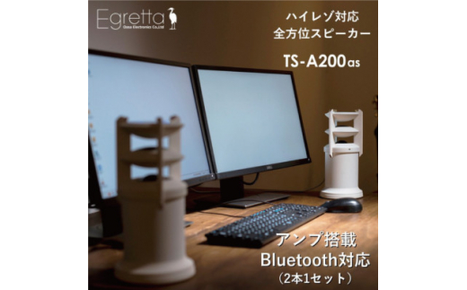 Egretta デスクトップサイズ ハイレゾスピーカー TS-A200as