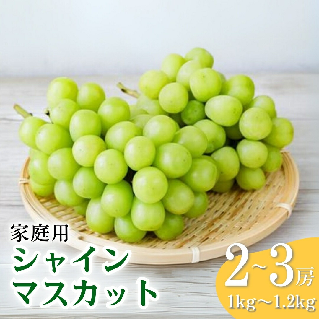 【2026年先行予約】訳あり  シャインマスカット 約1~1.2kg（2~3房） ぶどう 葡萄 ブドウ 白ぶどう 家庭用 朝採り 新鮮 朝摘み 種無し 種なし 皮ごと 信州 長野県 千曲市
