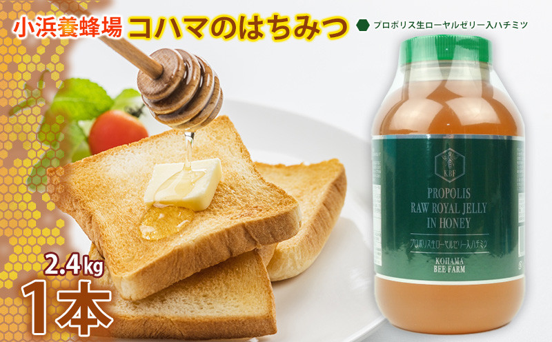 
            コハマのハチミツ 2.4kg 1本（プロポリス入） 国産 はちみつ ハチミツ 蜂蜜 hatimitu ハニー HONEY 蜜 プロポリス 瓶詰 大容量 グルメ 健康 朝食 プレゼント ギフト 贈答 内祝い 沖縄県産 沖縄
          