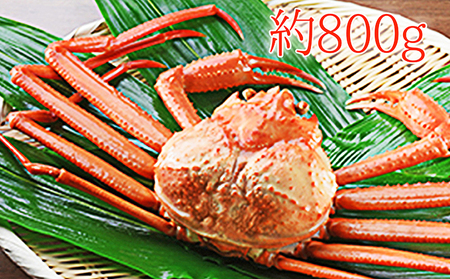 紅ズワイガニ約800g【木や水産】