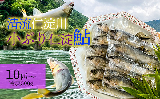 
                  小ぶり仁淀鮎★唐揚げ用途10尾～(冷凍500g) ★
                
