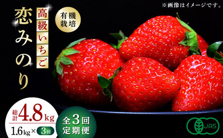 【先行予約】【3回定期便】高級 いちご 恋みのり  約1600g（200g×8pc）【伊藤農園】苺 いちご ストロベリー イチゴ 特産品 オーガニック 有機栽培 [ZBB010]