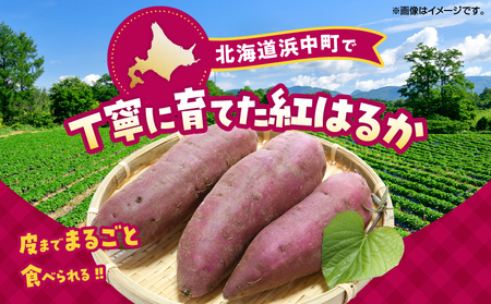紅はるかの冷凍焼き芋(計1kg)_H0049-004