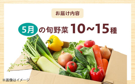 高槻野菜おまかせ詰め合わせセット 5月（10種〜15種）[AOCS011] 野菜セット