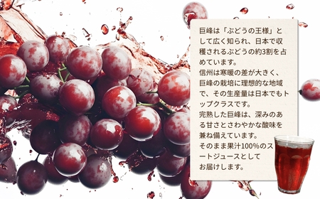 【6か月定期便】信州産 巨峰ジュース 「紫宝の恵」 ストレート果汁100％  (1L×4本) | 巨峰ジュース