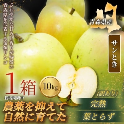 
            ＜青森直送 季節の味覚をお届け!＞サンとき 10kg×1箱(訳あり)2026年産 産地直送 限定生産【1700986】
          