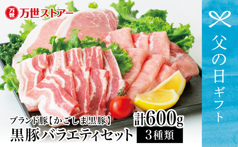 
                  【父の日ギフト】ブランド黒豚 かごしま黒豚 3種類 計600g バラエティセット お肉 国産 豚肉 鹿児島県産 冷凍 南さつま市 贈り物 ギフト 贈答用
                